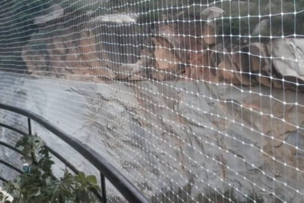 xr:d:DAFv0yRLumE:8,j:1605937697876159618,t:23092911